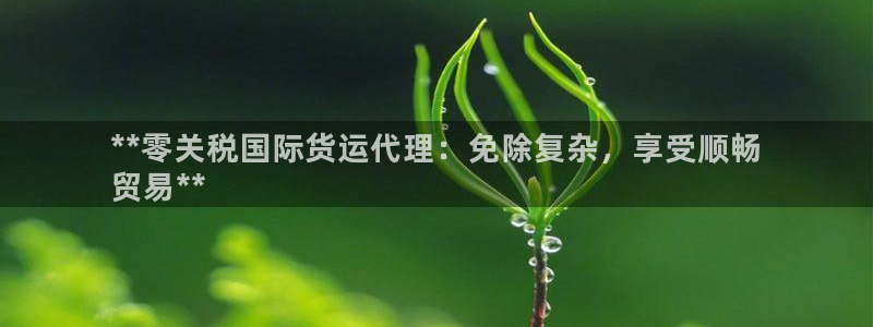 尊龙人生就是博一下首页：**零关税国际货运代理：免除复杂
