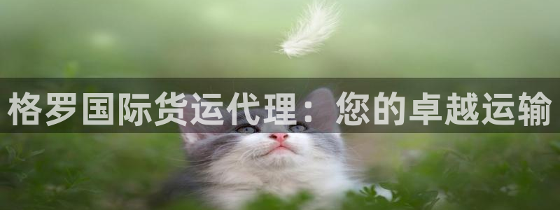 尊龙凯时是不是合法：格罗国际货运代理：您的卓越运输