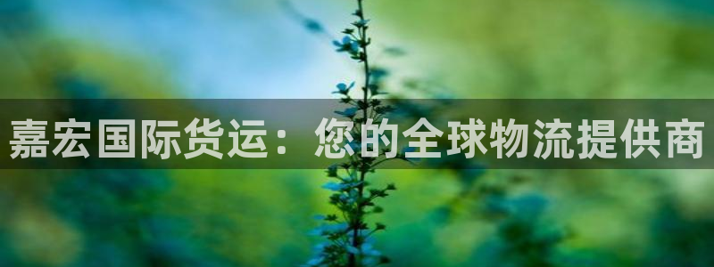 尊龙人生就是一博!：嘉宏国际货运：您的全球物流提供商