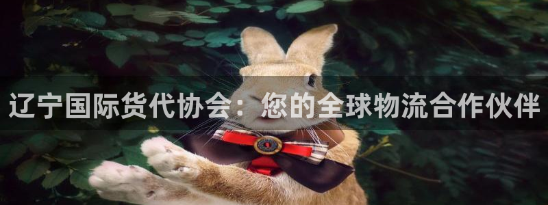 z6尊龙凯时集团：辽宁国际货代协会：您的全球物流合作伙伴