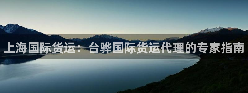 尊龙凯时平台不给出款怎么办：上海国际货运：台骅国际货运代