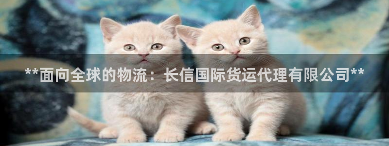 尊龙凯时口碑好吗：**面向全球的物流：长信国际货运代理有