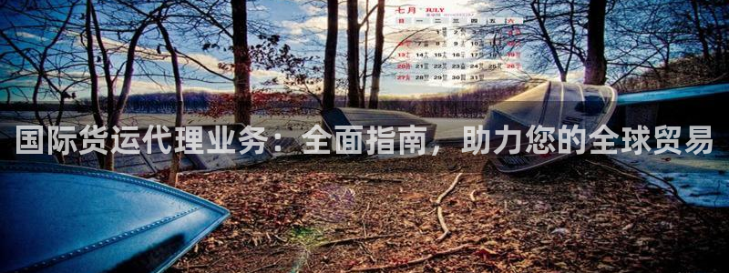 尊龙凯时处理未到账：国际货运代理业务：全面指南，助力您的