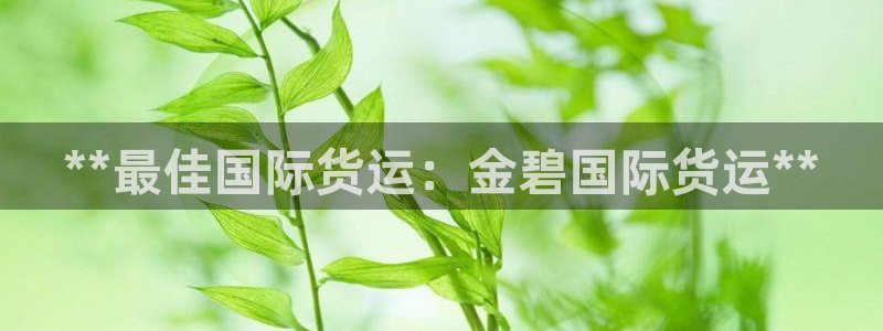 尊龙凯时始人生就是博：**最佳国际货运：金碧国际货运**