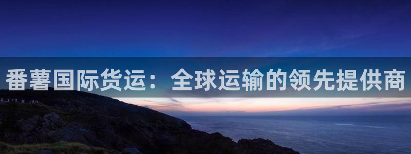 尊龙网址苹果版下载：番薯国际货运：全球运输的领先提供商