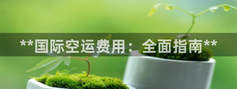 尊龙凯时是直营吗：**国际空运费用：全面指南**