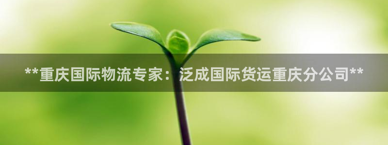 尊龙游戏官网：**重庆国际物流专家：泛成国际货运重庆分公