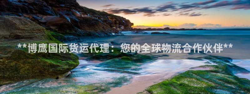 尊龙凯时泰安：**博鹰国际货运代理：您的全球物流合作伙伴