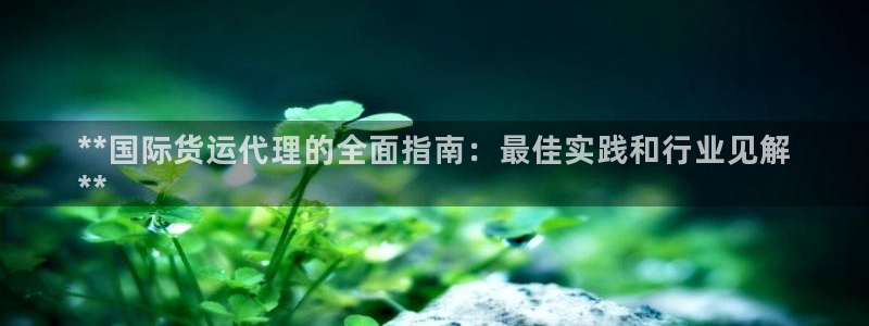 尊龙凯时能提现吗：**国际货运代理的全面指南：最佳实践和