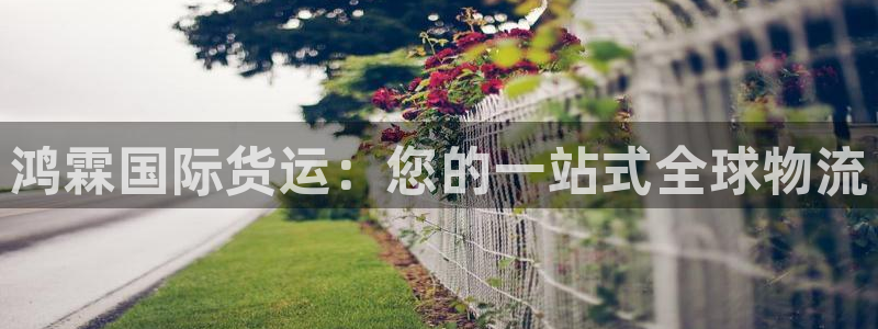尊龙凯时官方网站下载：鸿霖国际货运：您的一站式全球物流