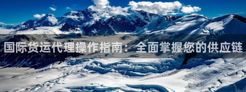 尊龙凯时怎么样没听说过：国际货运代理操作指南：全面掌握您
