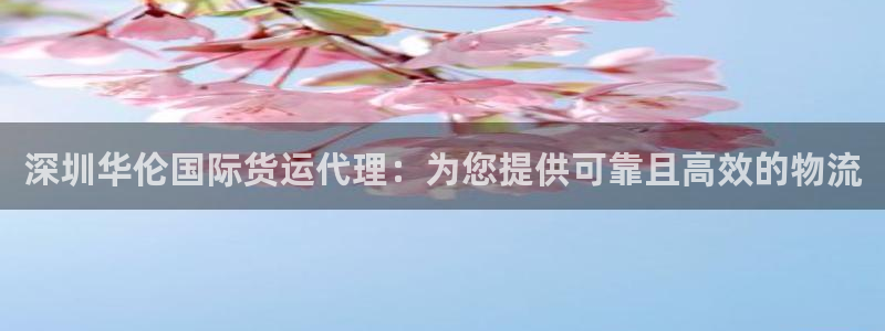 尊龙新版人生就是博!：深圳华伦国际货运代理：为您提供可靠
