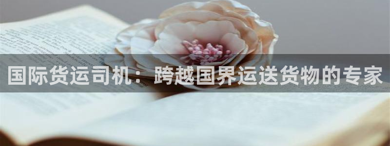 尊龙凯时请求参数不符合：国际货运司机：跨越国界运送货物的