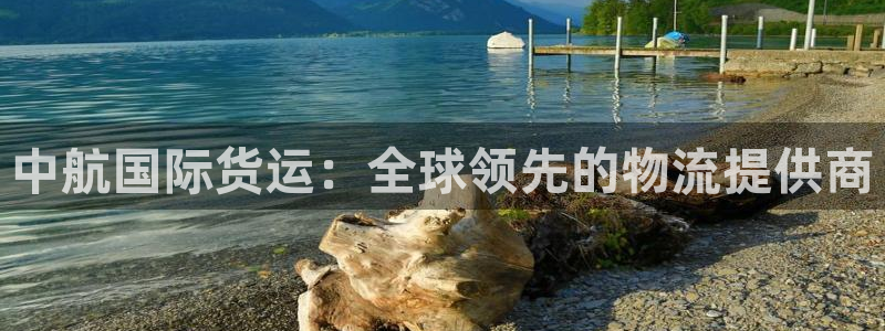 尊龙凯时 人生就是搏首页：中航国际货运：全球领先的物流提