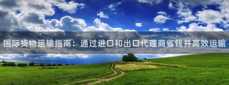尊龙平台有谁玩过：国际货物运输指南：通过进口和出口代理商