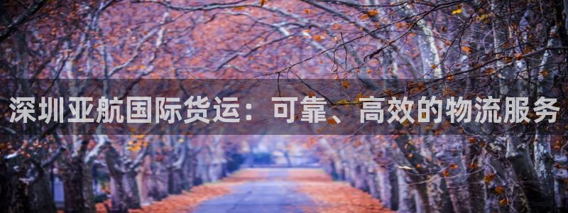 尊龙用现金一下-直接访问agbaofu.wang|ag暴