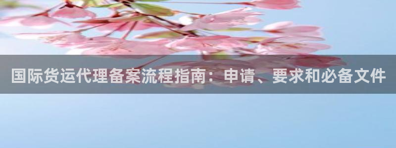 尊龙集团：国际货运代理备案流程指南：申请、要求和必备文件