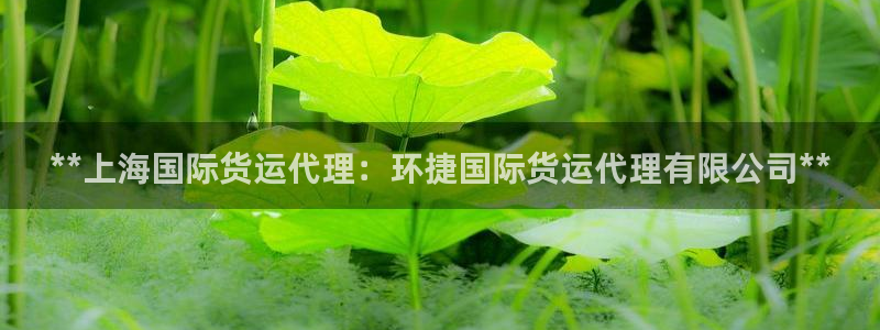 尊龙凯时口碑好吗：**上海国际货运代理：环捷国际货运代理