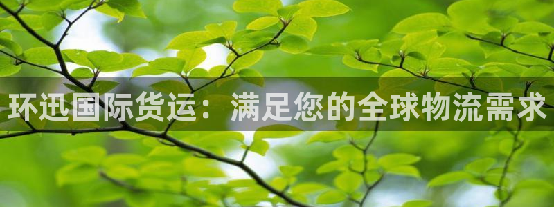 尊龙400：环迅国际货运：满足您的全球物流需求