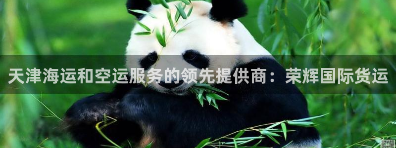 尊龙凯时是直营吗：天津海运和空运服务的领先提供商：荣辉国