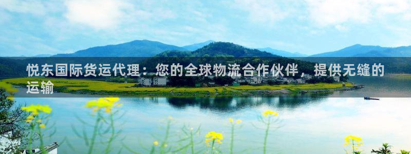 尊龙尊龙：悦东国际货运代理：您的全球物流合作伙伴，提供无