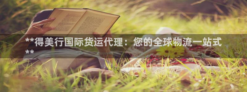 尊龙凯时官网网页版：**得美行国际货运代理：您的全球物流