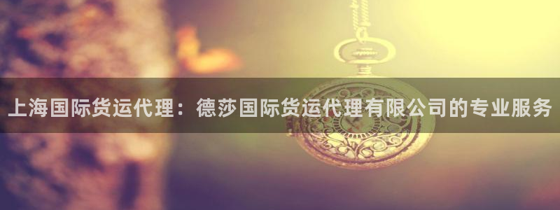 尊龙凯时客服：上海国际货运代理：德莎国际货运代理有限公司