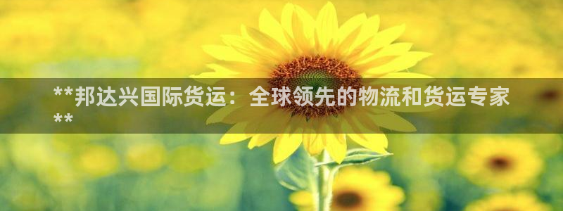 尊龙ag：**邦达兴国际货运：全球领先的物流和货运专家
