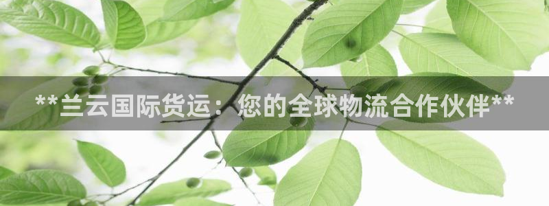 尊龙 国外：**兰云国际货运：您的全球物流合作伙伴**