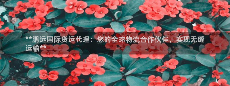 尊龙凯时为什么输了钱：**鹏远国际货运代理：您的全球物流