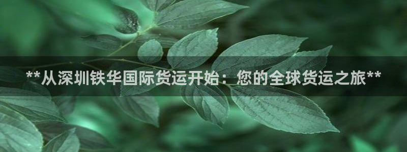 尊龙平台有谁玩过：**从深圳铁华国际货运开始：您的全球货