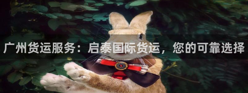 尊龙手机客户端app：广州货运服务：启泰国际货运，您的可