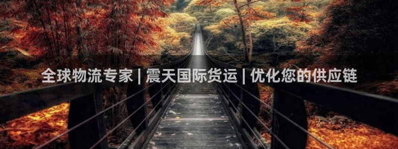 尊龙人生就是博网站：全球物流专家 | 震天国际货运 | 