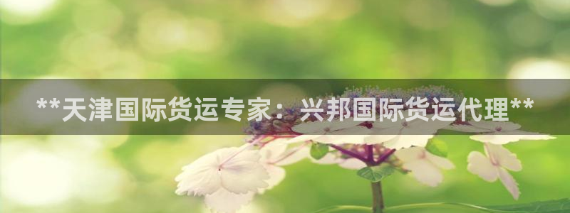 尊龙最新版：**天津国际货运专家：兴邦国际货运代理**