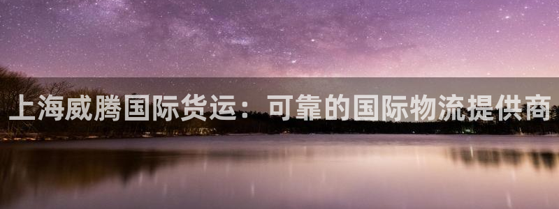 尊龙目前照片：上海威腾国际货运：可靠的国际物流提供商