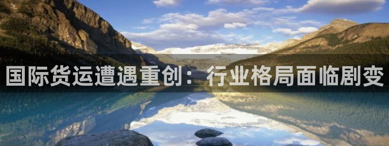 尊龙 国外：国际货运遭遇重创：行业格局面临剧变