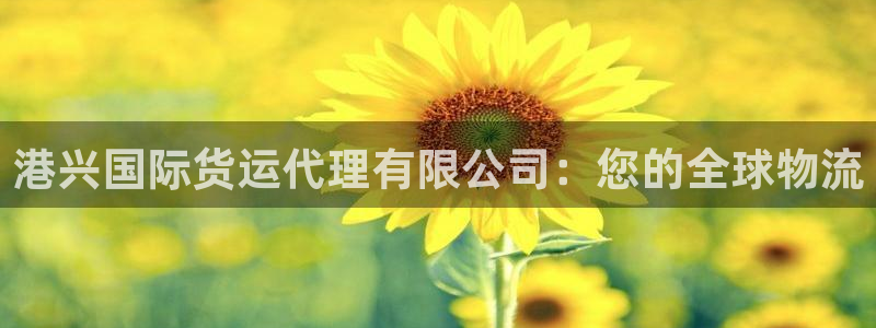 尊龙凯时是不是合法：港兴国际货运代理有限公司：您的全球物