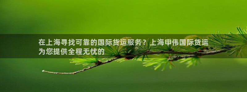 尊龙王t400：在上海寻找可靠的国际货运服务？上海申伟国