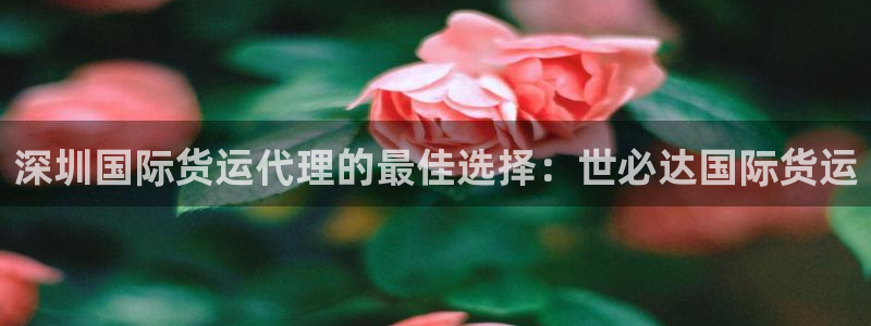 尊龙官网国际：深圳国际货运代理的最佳选择：世必达国际货运