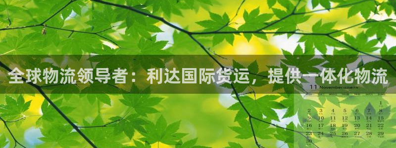 尊龙凯时网站不让提款：全球物流领导者：利达国际货运，提供