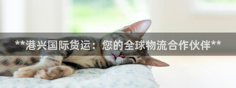 尊龙d88平台版下载：**港兴国际货运：您的全球物流合作