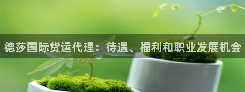 尊龙人品怎么样：德莎国际货运代理：待遇、福利和职业发展机