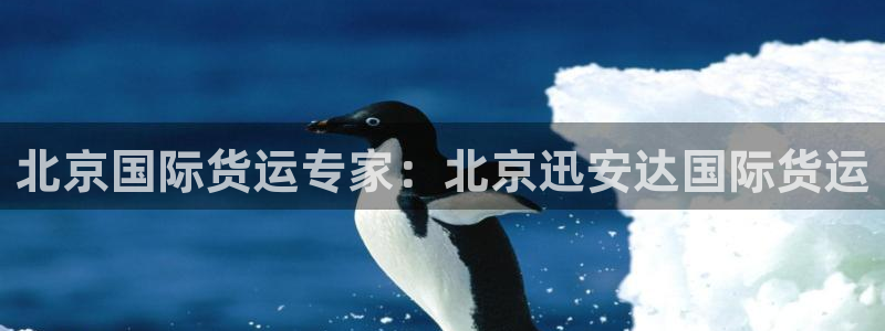尊龙官网在哪里：北京国际货运专家：北京迅安达国际货运
