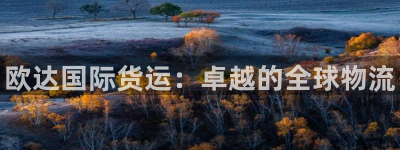 z6尊龙凯时集团：欧达国际货运：卓越的全球物流