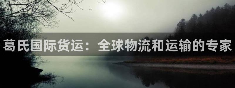 尊龙d88皆选ag发财网：葛氏国际货运：全球物流和运输的