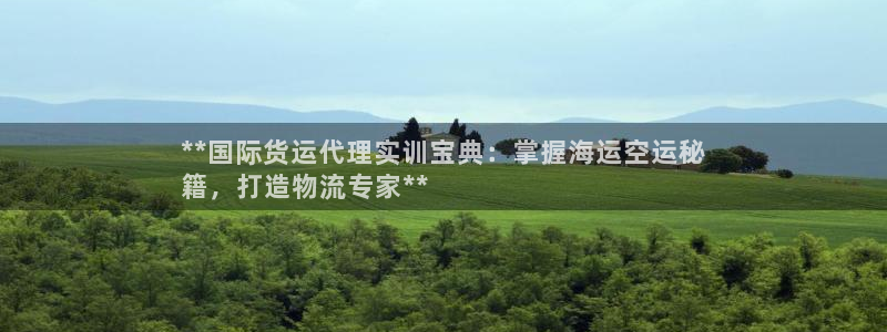 尊龙凯时提款冻卡吗：**国际货运代理实训宝典：掌握海运空