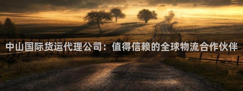 尊龙凯时不朽情缘：中山国际货运代理公司：值得信赖的全球物
