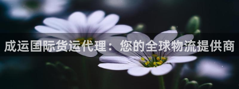 尊龙凯时平台有没有不到账的：成运国际货运代理：您的全球物