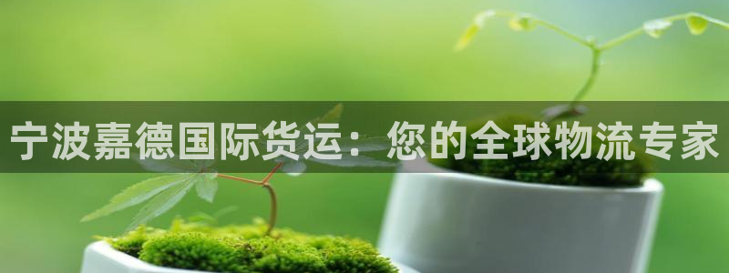 尊龙凯时取款有要求吗：宁波嘉德国际货运：您的全球物流专家