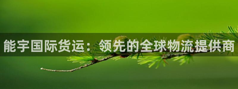 尊龙500价格：能宇国际货运：领先的全球物流提供商
